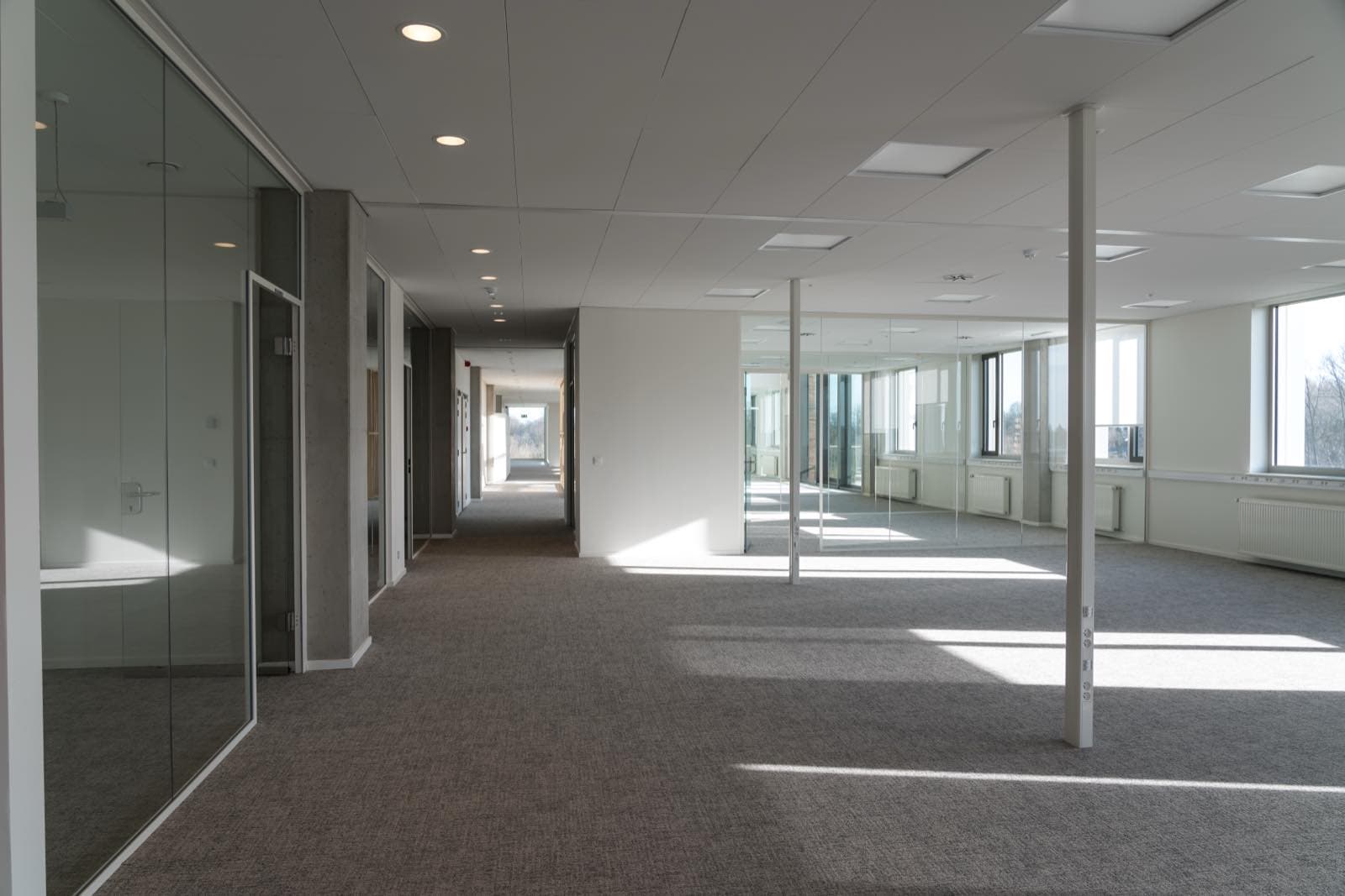 Open-Plan Floor Painting in Dubai: Empty open-plan office floor with grey carpet and glass partitions
