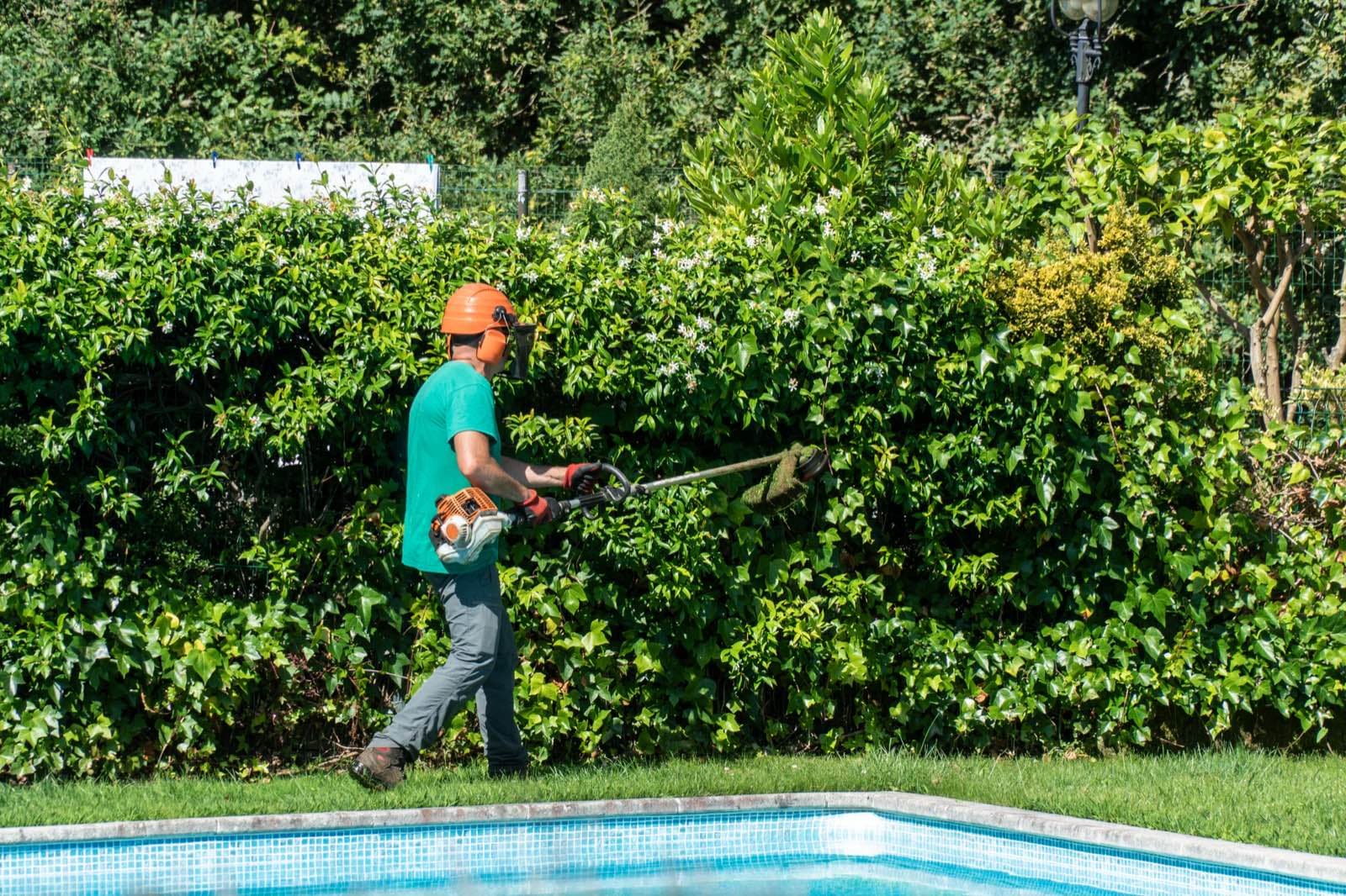 Villa Exterior Upkeep in Dubai: Worker trimming a hedge with a cutter beside a villa pool