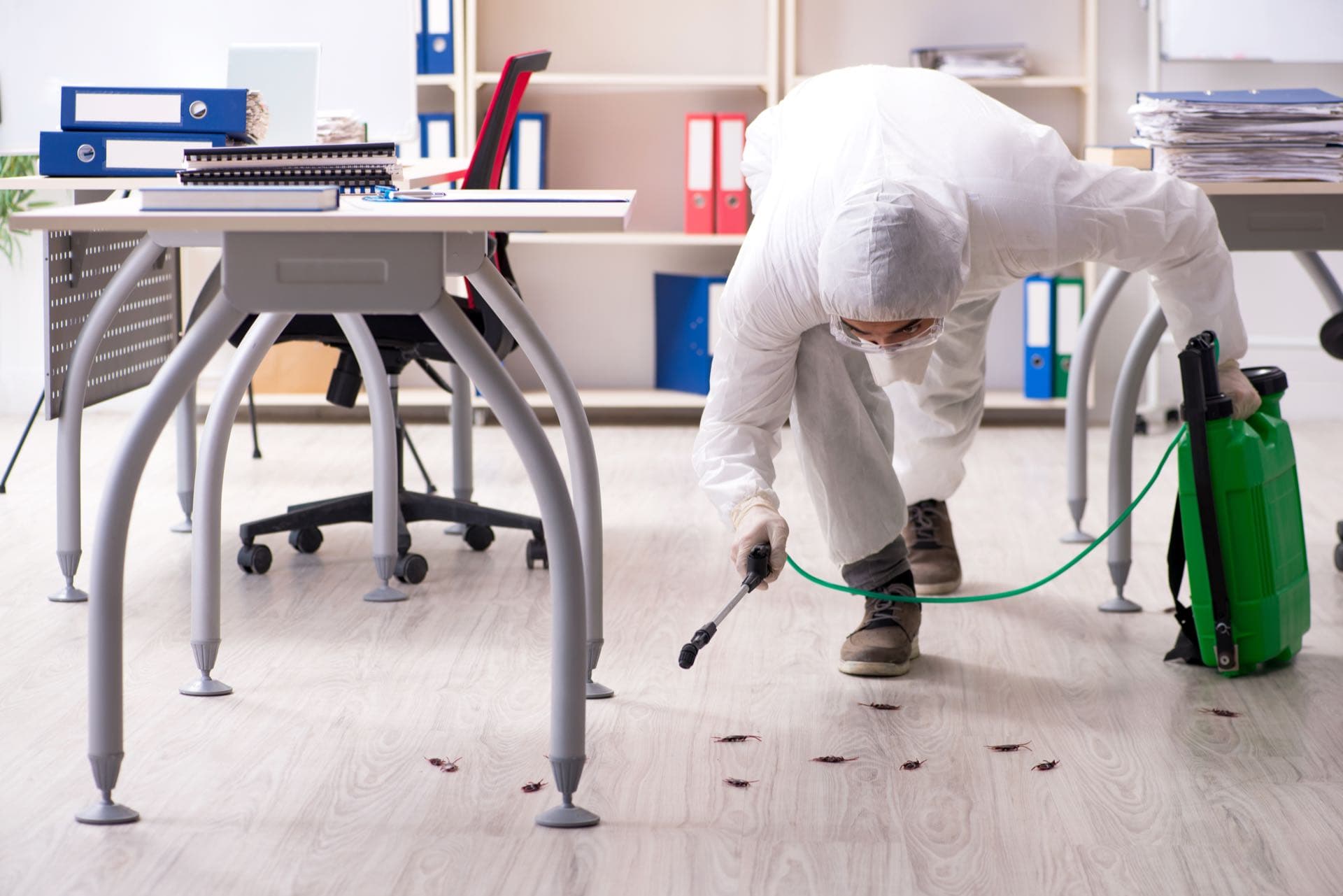 Office and Commercial Pest Control in Dubai: Pest control technician treating the floor under office desks