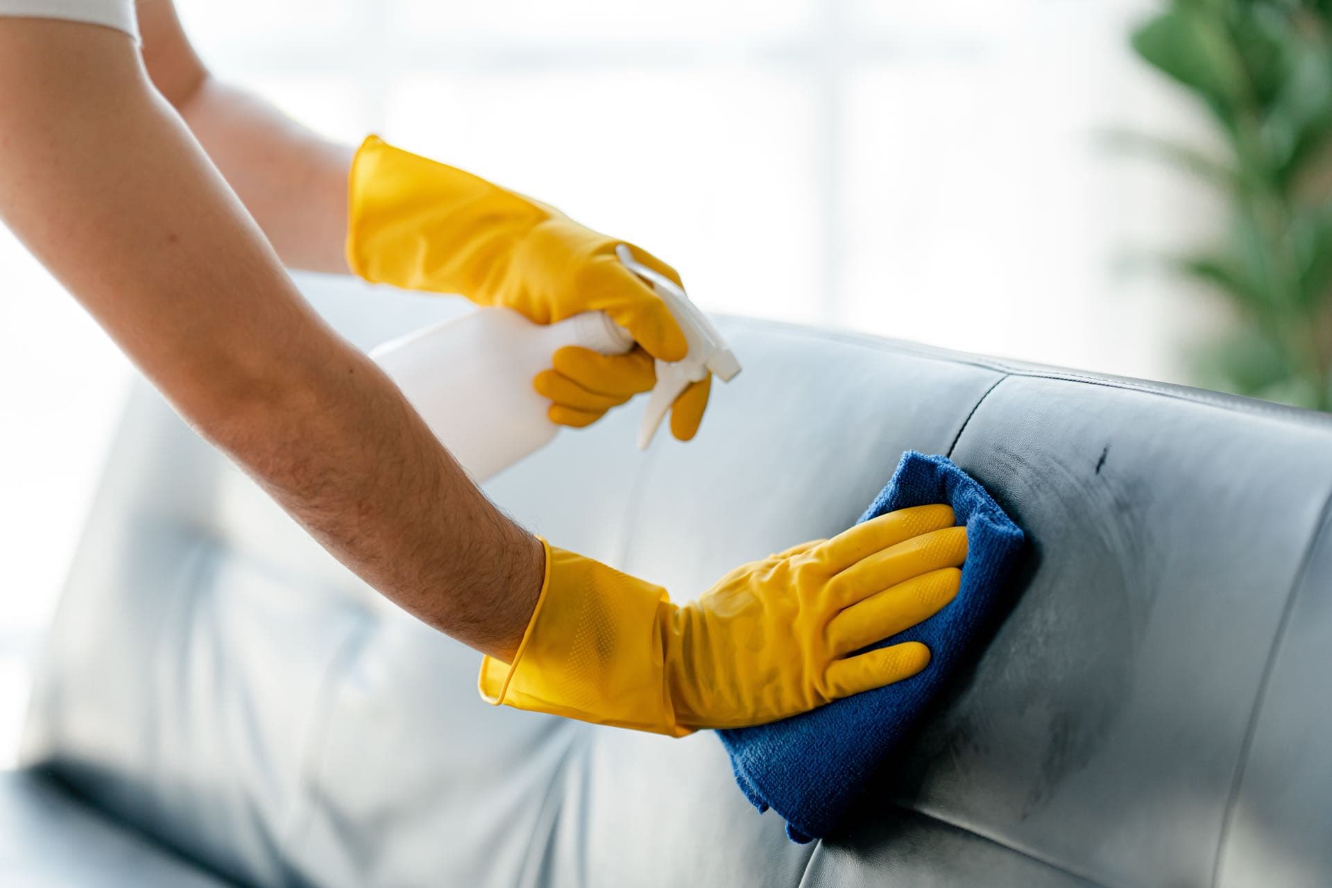 Stain and Odour Treatment in Dubai: Gloved hands spraying cleaner and wiping a stain on a sofa