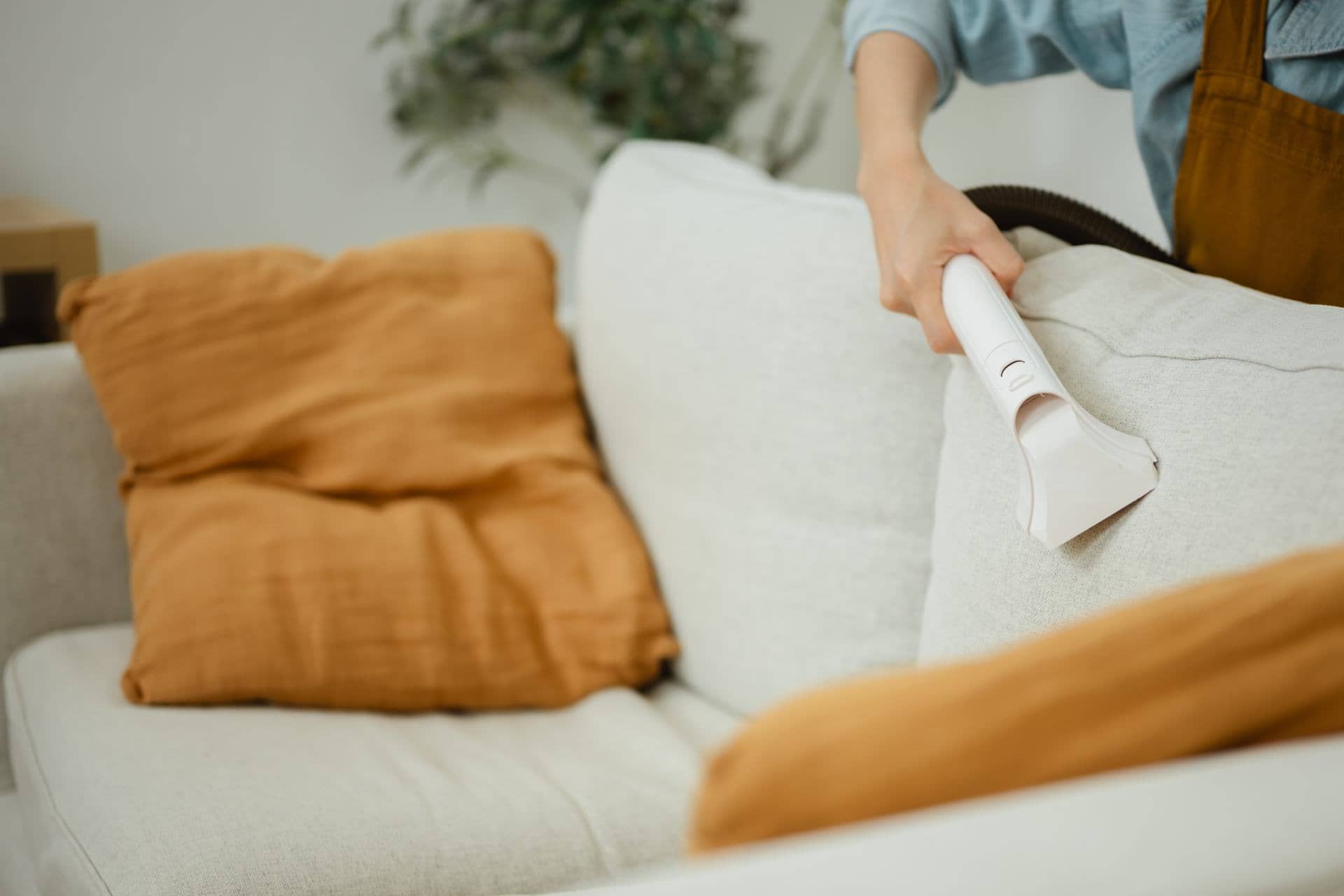 Upholstery cleaning of a sofa with a handheld extractor in Dubai